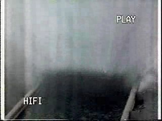 American sitcom, U.S. movie,  Richard Bey Show