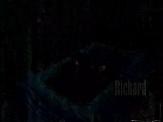 American sitcom, U.S. movie,  Richard Bey Show