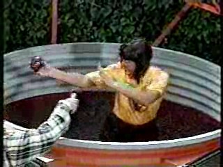 Wild Animal Games,  Family Challenge