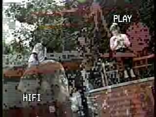 Wild Animal Games,  Family Challenge