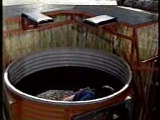 Wild Animal Games,  Family Challenge