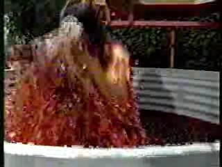 Wild Animal Games,  Family Challenge