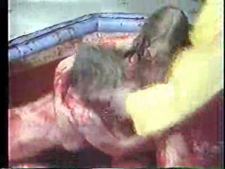 Messy Jelly Wrestling