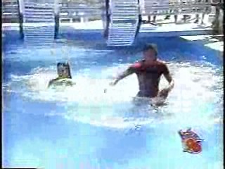 MTV Spring Break 96