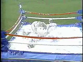 MTV - Singled Out,  MTV Spring Break 96,  What Would You Do