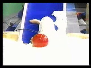 What Would You Do,  Summer Job