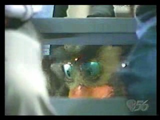 Class Cruise,  Step by Step,  Masker Rider