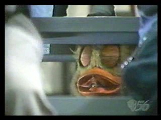 Class Cruise,  Step by Step,  Masker Rider