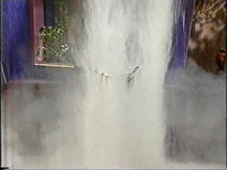 Mornings With Kerri-Anne