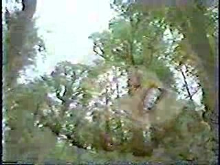 Hercules: The Legendary Journeys,  Charity Mud Volleyball