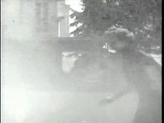 Sesame Street,  There Goes the Groom,  Bride by Mistake