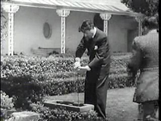 Sesame Street,  There Goes the Groom,  Bride by Mistake