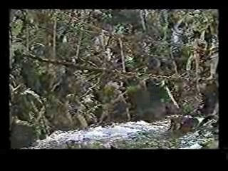 Mission Impossible,  Jivaro