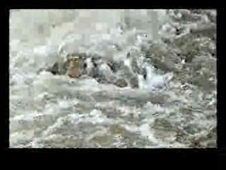 Mission Impossible,  Jivaro