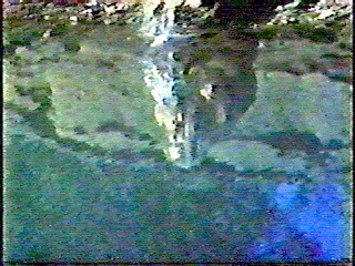 The Southern Star,  Tarzan Escapes