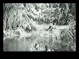 The Southern Star,  Tarzan Escapes