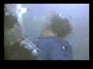 Honky Tonk Freeway,  The Sure Thing,  Poltergiest III,  Tarzan's Greatest Adventure