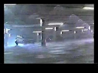 Honky Tonk Freeway,  The Sure Thing,  Poltergiest III,  Tarzan's Greatest Adventure