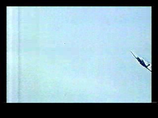 Honky Tonk Freeway,  The Sure Thing,  Poltergiest III,  Tarzan's Greatest Adventure