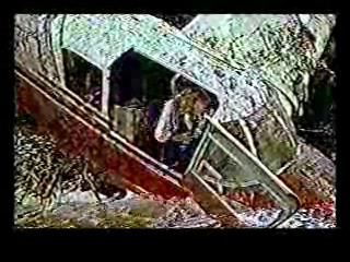 Honky Tonk Freeway,  The Sure Thing,  Poltergiest III,  Tarzan's Greatest Adventure