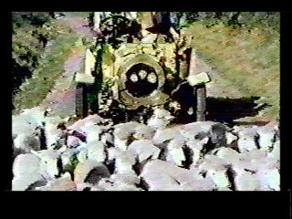 Genevieve,  Back From Eternity,  Masquerade