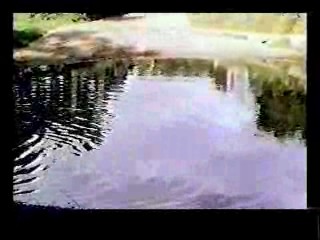 Genevieve,  Back From Eternity,  Masquerade