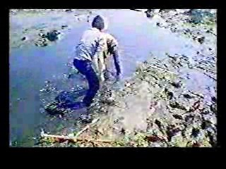 I Take These Men,  Mud Documentary, Bringing Up Baby (colorized)