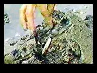 I Take These Men,  Mud Documentary, Bringing Up Baby (colorized)