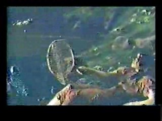 I Take These Men,  Mud Documentary, Bringing Up Baby (colorized)