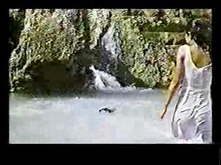 Paradise,  Johnny Guitar