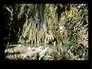 Paradise,  Johnny Guitar