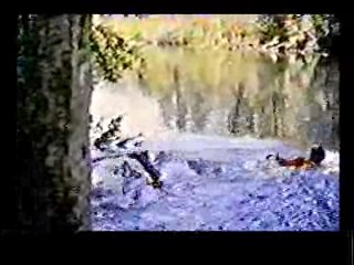 Paradise,  Johnny Guitar