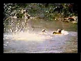 Paradise,  Johnny Guitar