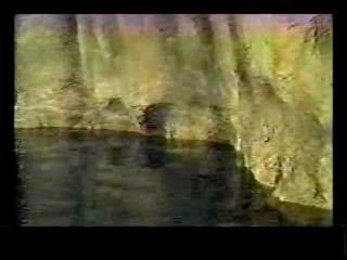 Tarzan and the Jungle Boy,  Cave In,