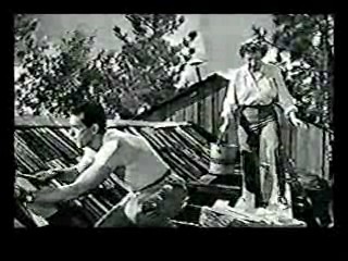 College Madhouse,  The Egg and I,  The Incredible Shriking Woman