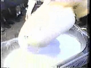 Who Dares Wins, The Water Rats