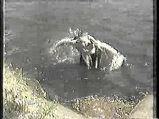 Who Dares Wins, The Water Rats