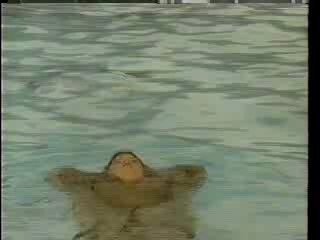 Business Suits in the Pool, 2 German films