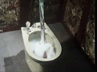 Rutland Weekend Television