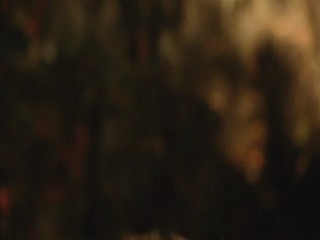 TenkÃ´sei: Sayonara anata