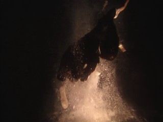 TenkÃ´sei: Sayonara anata