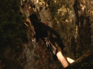 TenkÃ´sei: Sayonara anata