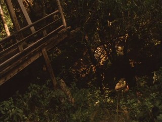 TenkÃ´sei: Sayonara anata