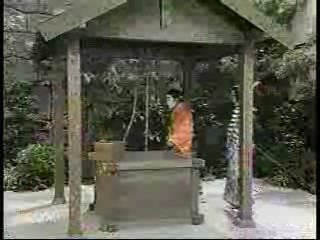 Japanese TV shows  (3)