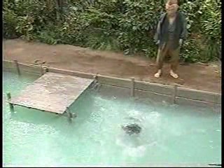 Japanese comedy shows (3)