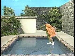 Japanese comedy shows (2)