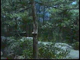 Japanese comedy show, Japanese gameshows (2)