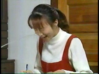 Japanese Slapstick series