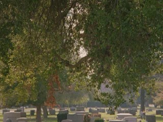 2 very oiled up females on the movie Old School