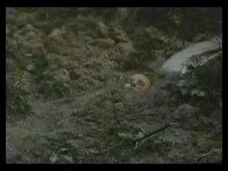 girl in wedding dress in bog